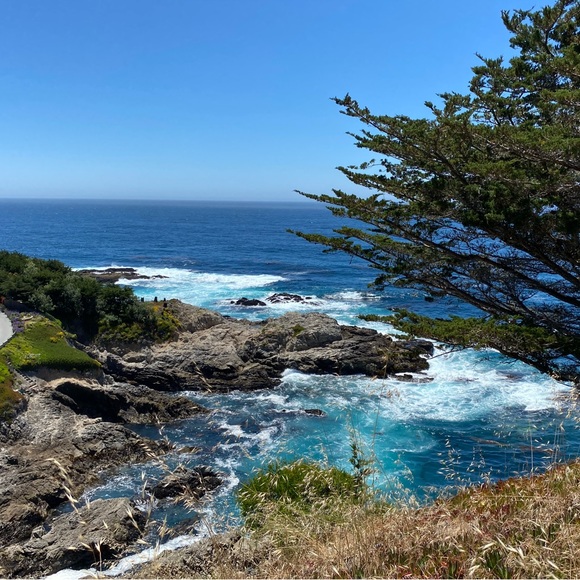 Meet your Posher, Nicole - Picture 7 of 10